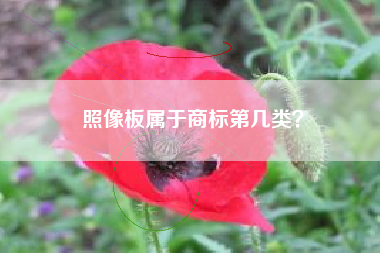 照像板属于商标第几类？