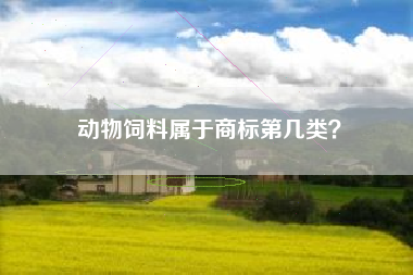 动物饲料属于商标第几类？