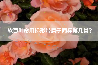 软百叶帘用梯形带属于商标第几类？