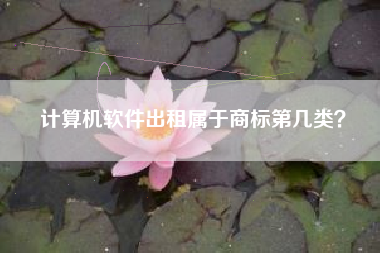 计算机软件出租属于商标第几类？