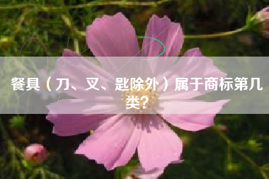餐具（刀、叉、匙除外）属于商标第几类？
