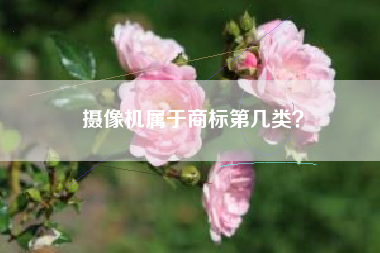 摄像机属于商标第几类？