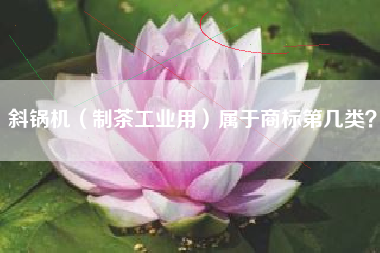 斜锅机（制茶工业用）属于商标第几类？