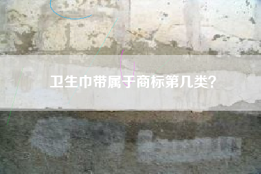 卫生巾带属于商标第几类？