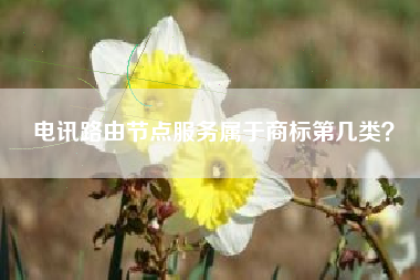电讯路由节点服务属于商标第几类？