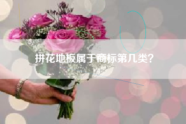 拼花地板属于商标第几类？