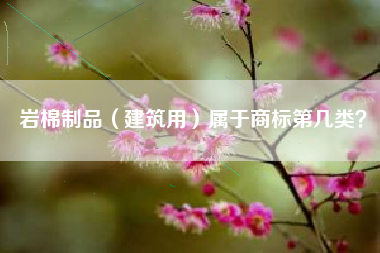 岩棉制品（建筑用）属于商标第几类？