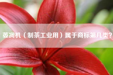 萎凋机（制茶工业用）属于商标第几类？