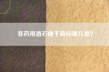 非药用酒石属于商标第几类？