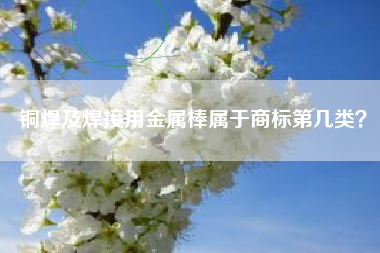 铜焊及焊接用金属棒属于商标第几类？