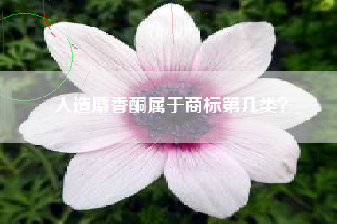 人造麝香酮属于商标第几类？