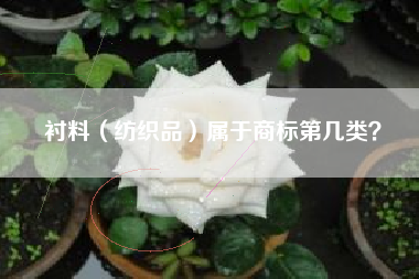 衬料（纺织品）属于商标第几类？