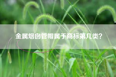 金属烟囱管帽属于商标第几类？