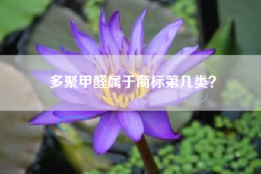 多聚甲醛属于商标第几类？