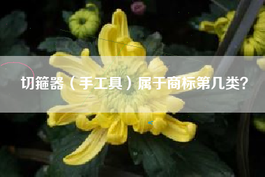 切箍器（手工具）属于商标第几类？