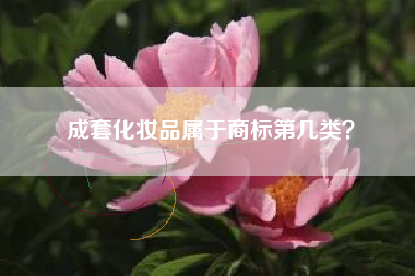 成套化妆品属于商标第几类？