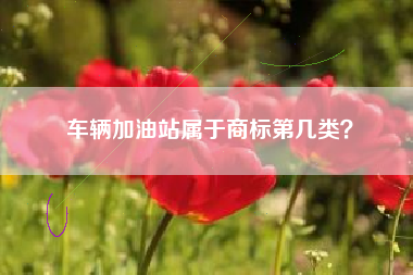 车辆加油站属于商标第几类？