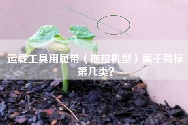 运载工具用履带（拖拉机型）属于商标第几类？