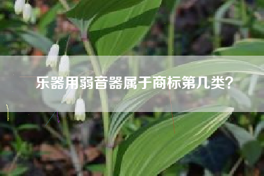 乐器用弱音器属于商标第几类？