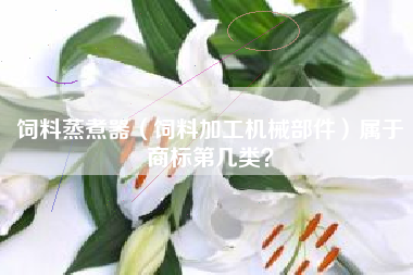 饲料蒸煮器（饲料加工机械部件）属于商标第几类？