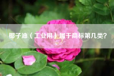 椰子油（工业用）属于商标第几类？