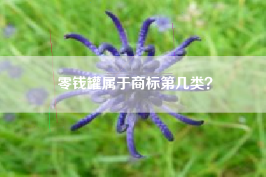 零钱罐属于商标第几类？