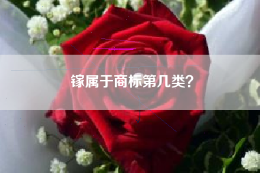 镓属于商标第几类？