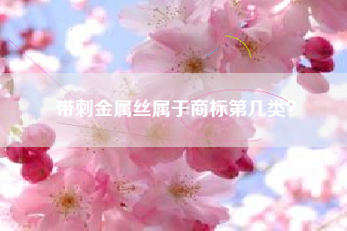 带刺金属丝属于商标第几类？