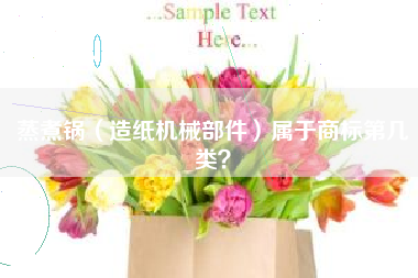 蒸煮锅（造纸机械部件）属于商标第几类？