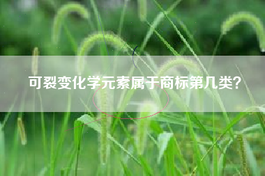 可裂变化学元素属于商标第几类？