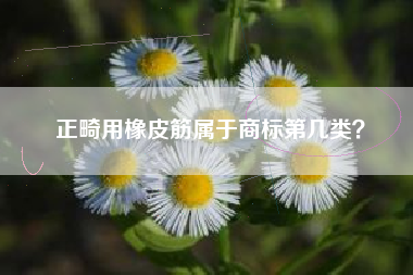 正畸用橡皮筋属于商标第几类？