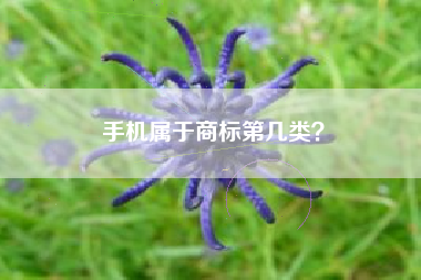 手机属于商标第几类？