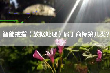 智能戒指（数据处理）属于商标第几类？
