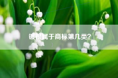 镀银属于商标第几类？