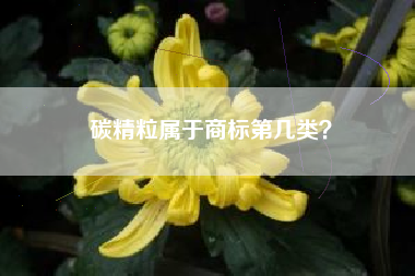 碳精粒属于商标第几类？