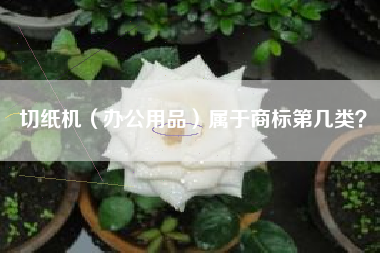 切纸机（办公用品）属于商标第几类？