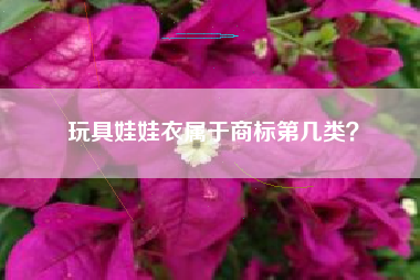 玩具娃娃衣属于商标第几类？