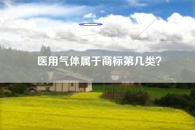 医用气体属于商标第几类？