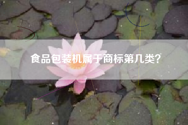 食品包装机属于商标第几类？