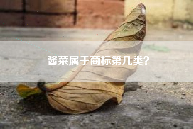 酱菜属于商标第几类？