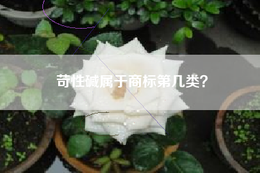 苛性碱属于商标第几类？