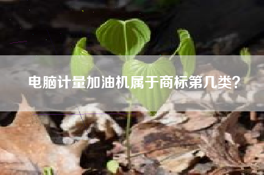 电脑计量加油机属于商标第几类？