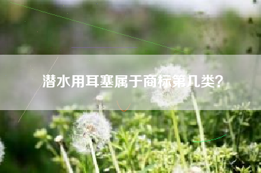 潜水用耳塞属于商标第几类？