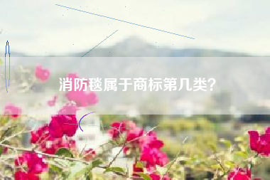 消防毯属于商标第几类？