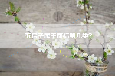 五倍子属于商标第几类？