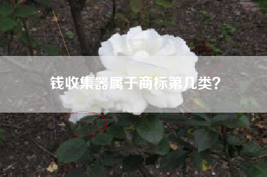 钱收集器属于商标第几类？