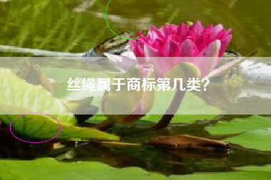 丝绳属于商标第几类？