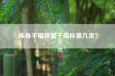 练身手榴弹属于商标第几类？