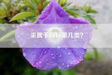 汞属于商标第几类？