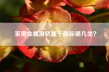 家用金属滑轨属于商标第几类？
